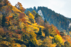 E3A4382-Bearbeitet-2