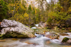 20131021IMG_4965-Bearbeitet