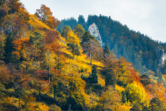 E3A4382-Bearbeitet-2