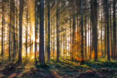 E3A4930-Bearbeitet-2