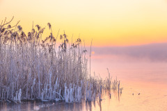 Eiswinter-