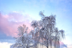 Erster-Schnee-3-