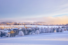 Frostiges-Gaden-2