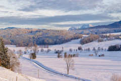 Letztes-Licht-im-Tal-2-