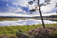 _MG_9648-Bearbeitet-Bearbeitet