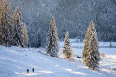 Schneeschuhwanderer-Eschlmoos-1795