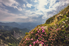 Blumenberg Geiglstein