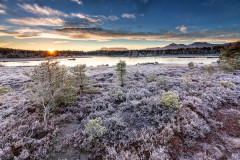 Wintermorgen-im-Filz-