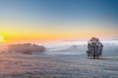 Wintermorgen am Krautenberg