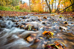Herbstlicher Höllbach