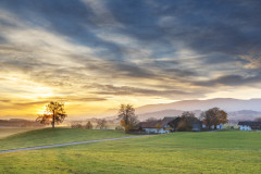 Wüstenreit