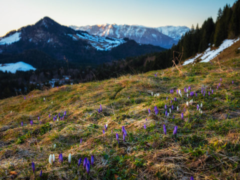 _Z4A2544-HDR-Bearbeitet