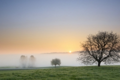 Überm Nebel-1