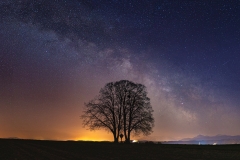 Z4A5774-Pano-Bearbeitet-2