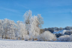 unbenannt-3111-Pano-Bearbeitet