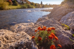 unbenannt-8286-Bearbeitet