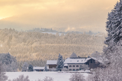 unbenannt-2151-Bearbeitet