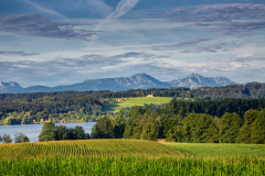 MG_7400-Bearbeitet