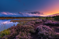 unbenannt-5684-Bearbeitet-2